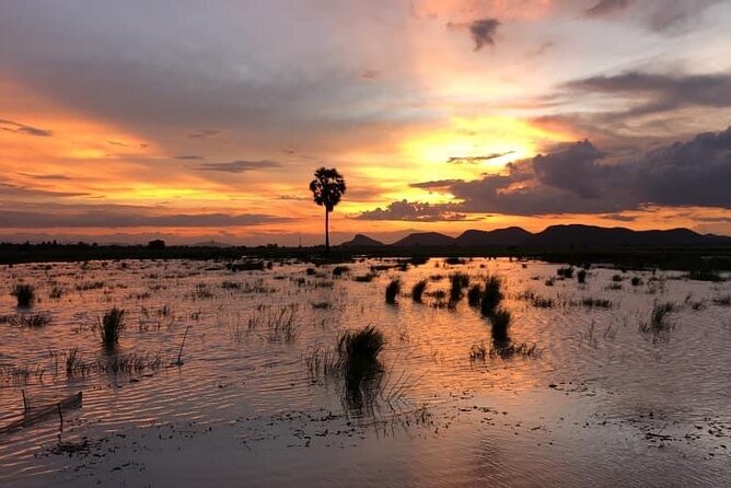 Private Full Day Tuk Tuk Tour in Battambang - Rice wine and the choice of lunch