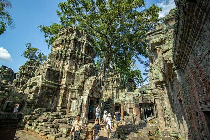 Private Guided Tour To Angkor Wat & Its Surrounding-Angkor Park - Ta Prohm, the most theatrical final stop