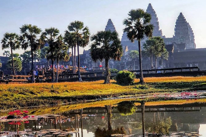 Private Guided Tours-Sunrise Angkor Wat, Ta Prohm, Bayon and more - Angkor Thom begins at the Victory Gate