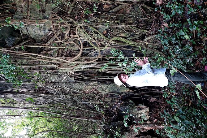 Private Kampot Countryside Tour & Pepper farm, Kep/Crab Market - Timing, comfort, and who should book