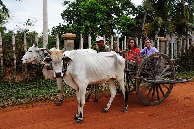 Private Ox Cart Ride and Local village Experience from Siem Reap - Why this rural ride adds something different to Siem Reap