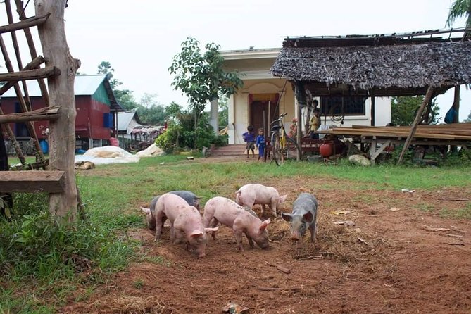 Private Ox Cart Ride and Local village Experience from Siem Reap - The local market stop