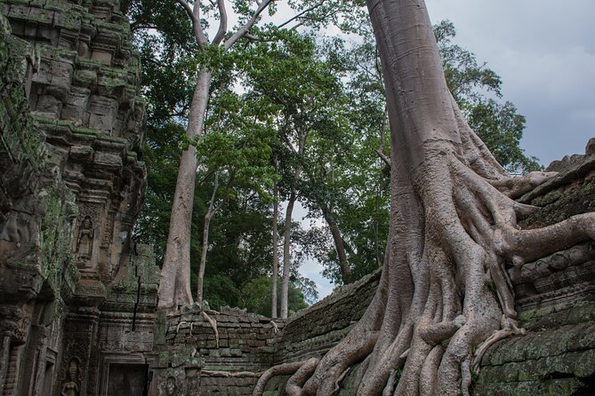 Private Siem Reap Airport Transfer to hotel in town - The first hour from Siem Reap’s new airport