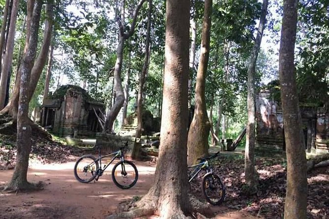 Private Siem Reap Countryside Cycling Tour - What the private format changes