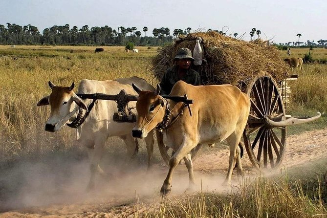 Private Siem Reap Quad Bike Adventure - Key points at a glance