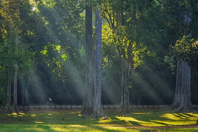 Private Sunrise and Sunset Angkor Park Tour with Rest Mid-Day - Ta Prohm before the crowds