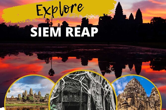 Private Sunrise & Angkor Complex by English Speaking Van Driver - Ta Prohm and the appeal of a flexible route