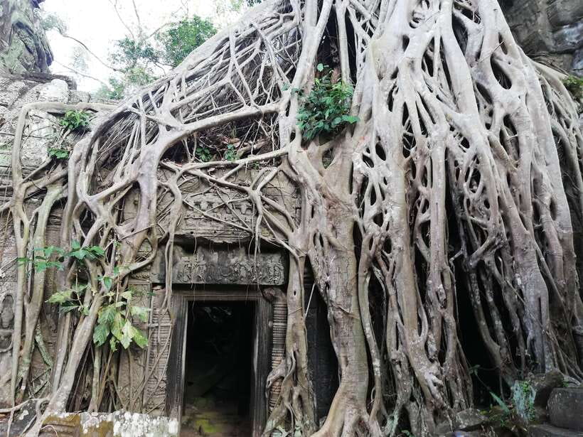 Private Sunrise Angkor Wat Tour - Sunrise at Angkor Wat is worth the early alarm