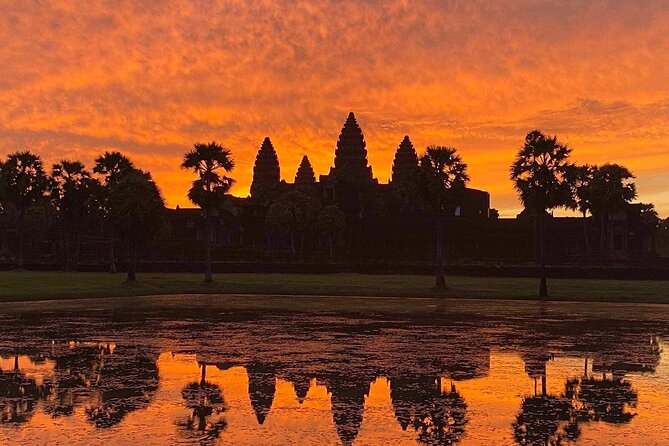 Private sunrise 'small tour' of Angkor Wat with car or van & Guide - Ta Prohm, where the jungle takes a turn