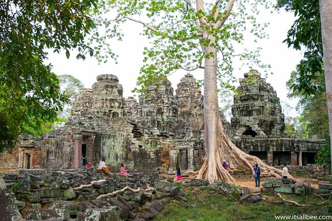 Private sunrise 'small tour' of Angkor Wat with car or van & Guide - The private car makes the long morning easier