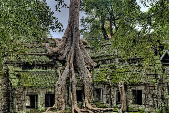Private sunrise tour to Angkor Wat & other highlights with Professional Guide. - Why the sunrise start matters at Angkor Wat