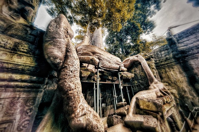 Private sunrise tour to Angkor Wat & other highlights with Professional Guide. - Ta Prohm before the heaviest crowds
