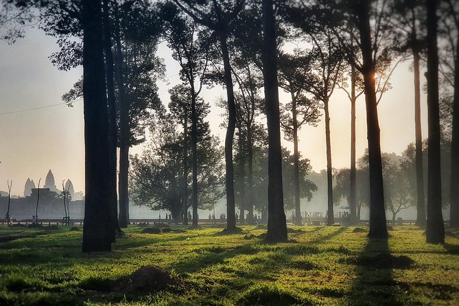 Private sunrise tour to Angkor Wat & other highlights with Professional Guide. - What the guides add to the stone