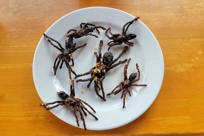 Private Taxi Phnom Penh To Siem Reap Include Floating Villages - Skuon and the fried tarantula stop