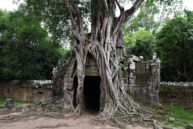 Private Taxi Siem Reap to Phnom Penh, Reliable Driver, Transfer - Choosing between the Lexus, Alphard, and Starex H1