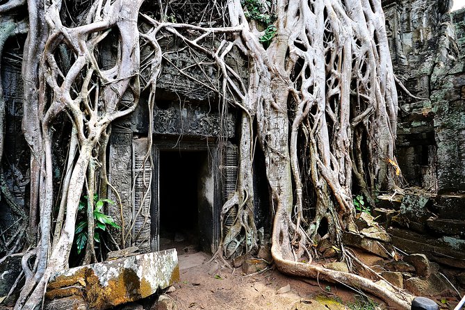 Private Temples Guided Tour (Angkor Wat, Ta Prom & Angkor Thom) - Private transport, water, and comfort