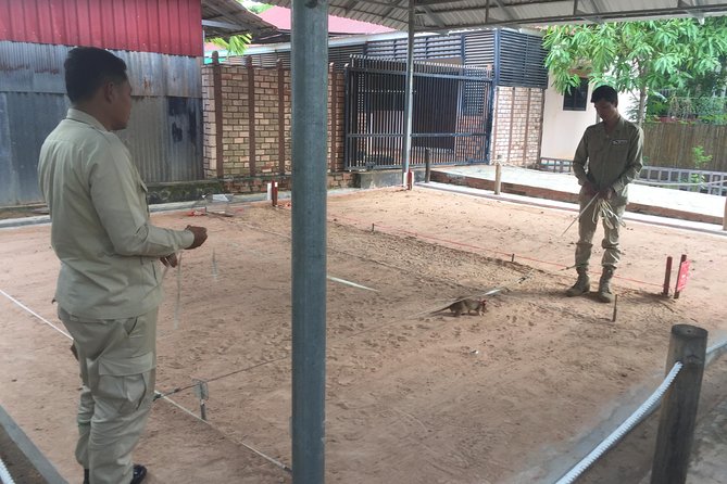 Private Tour: HERO Rats & Angkor National Museum - What the Private Car Adds