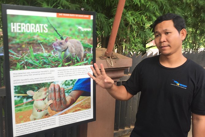 Private Tour: HERO Rats & Angkor National Museum - Should You Book the Hero Rats and Angkor Museum Tour?