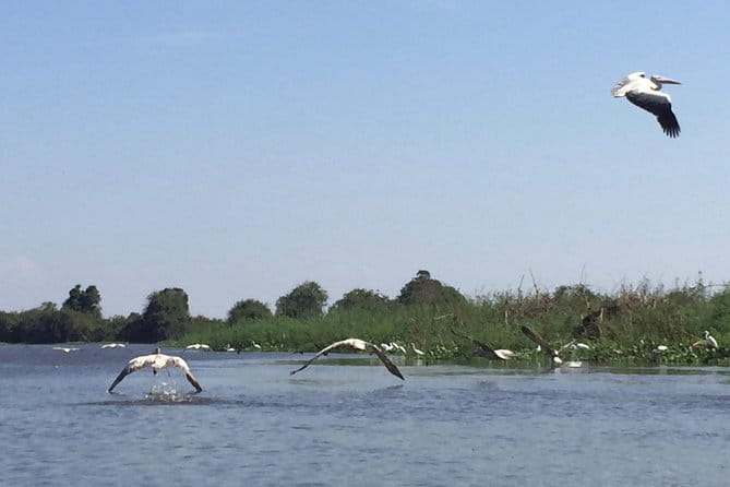 Private Tour Prek Toal Bird Sanctuary Off Beaten Track - Reaching the bird sanctuary by a second boat trip