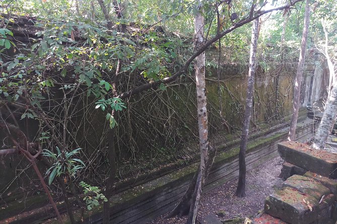 Private Tour to Beng Mealea Jungle Temple and Koh Ker - Lunch, snacks, and the practical costs