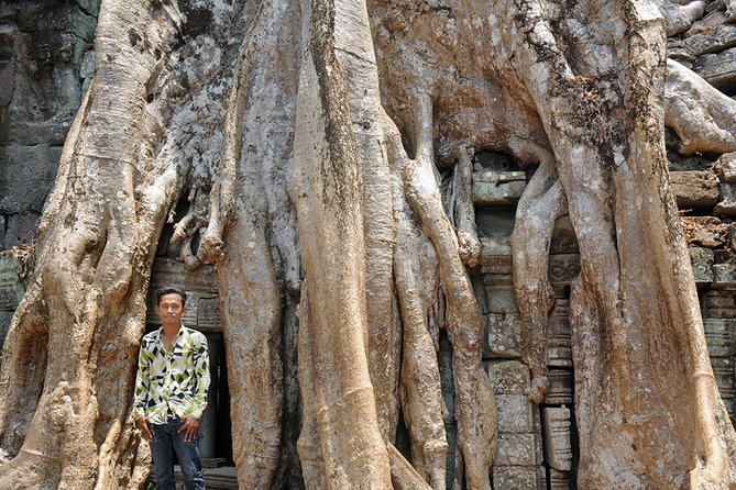Private Tuk Tuk Tour to Angkor Wat and Small Circle with Two Extras - Ta Prohm, where the trees share the frame