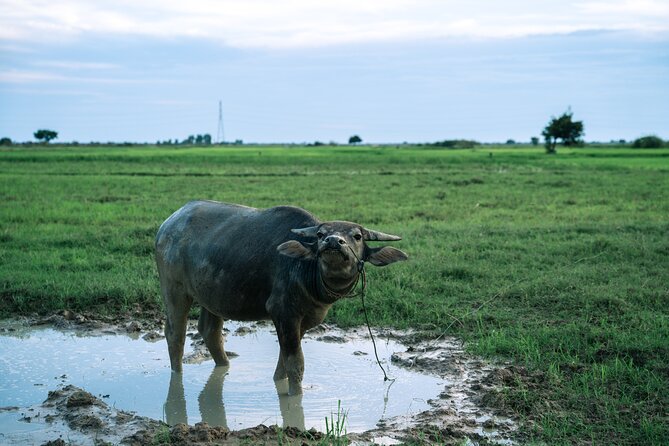Quad Bike Ride Explore Local Villages - The first ride through Khmer villages