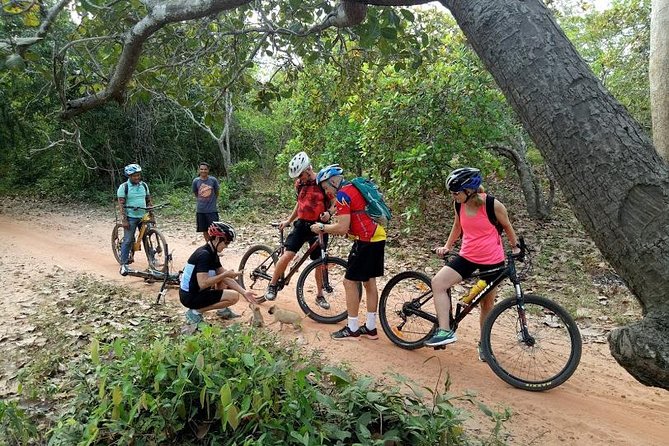 Rice Fields & Rural Villages Tour - Leaving Siem Reap behind by bicycle