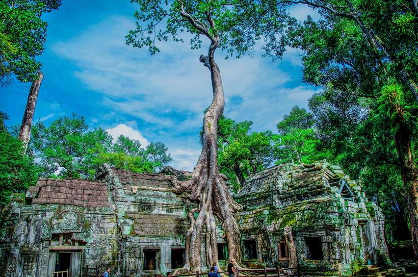 Seat-In-Coach: Small Circuit tour with Sunrise at Angkor Wat - Angkor Wat before sunrise