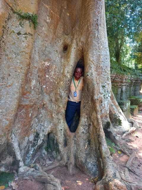 Shared day tour with Spanish-speaking guide at Angkor Temple. - Ta Prohm, where trees share the temple