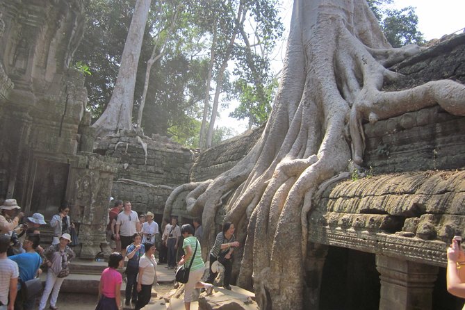 Shared Tour to Angkor Wat, Bayon and Ta Prohm Temples - A Compact Route Through Angkor’s Greatest Hits