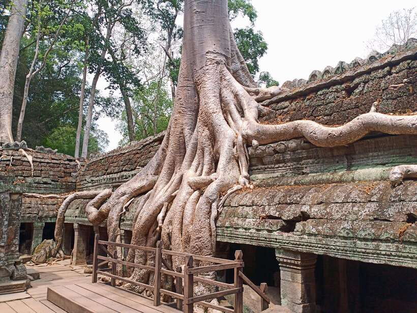 Sharing Trip to Angkor Temple with sunset - Entering Angkor Thom through the South Gate