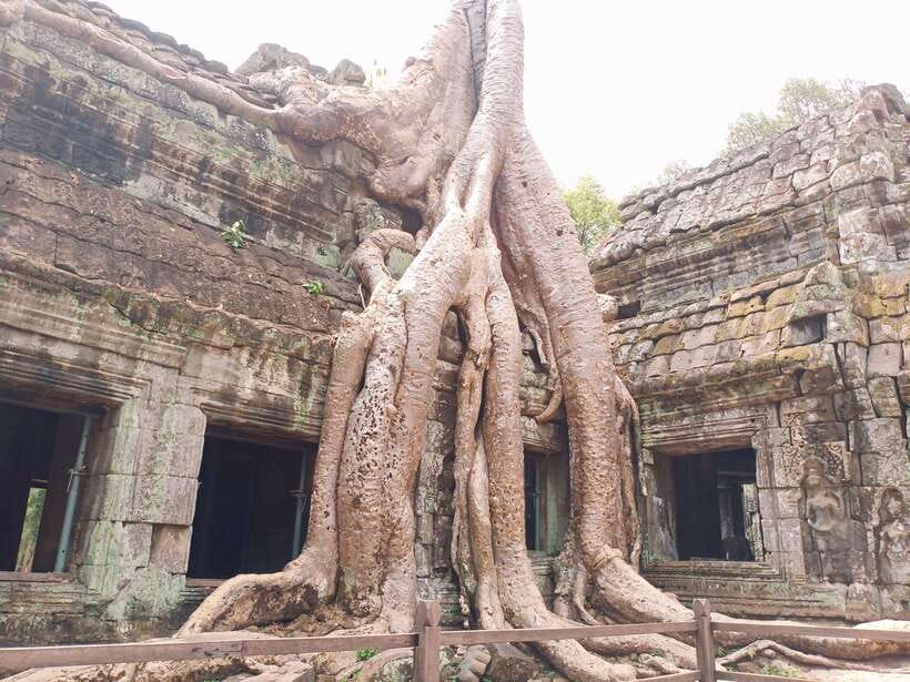 Sharing Trip to Angkor Temple with sunset - Phimeanakas, the Terrace of the Elephants, and Preah Palilay