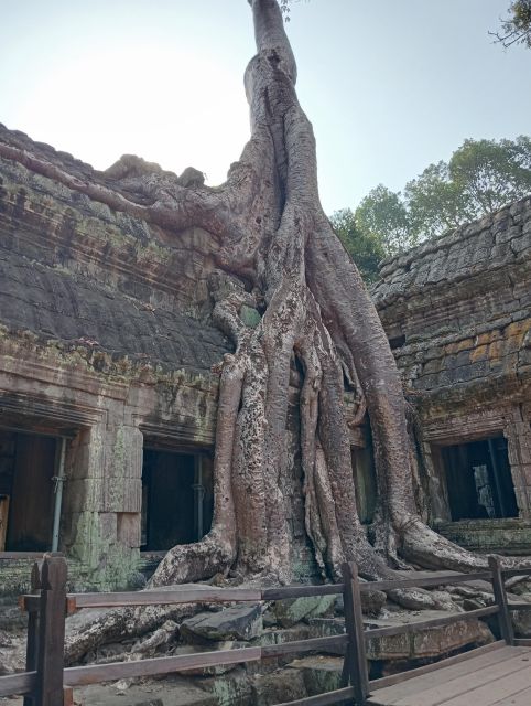 Siem Reap: 2-Day Private Angkor Wat & Phnom Kulen Tour - Lunch and the afternoon visit to Angkor Wat