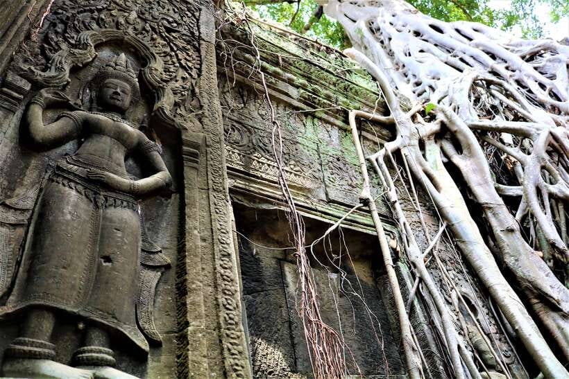 Siem Reap: 2-Day Temple Highlights Sunrise and Sunset Option - Ta Prohm and Ta Nei among the trees