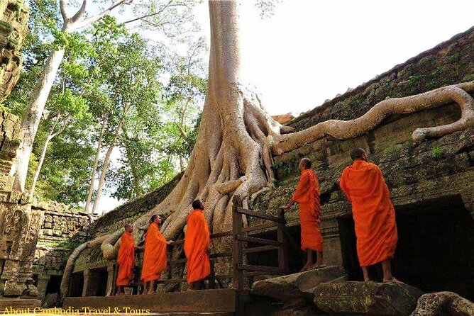 Siem Reap 2 Days Private Tour Angkor Wat and Floating Village - Ta Prohm, where trees frame the ruins