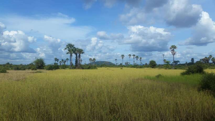 Siem Reap: 3-Hour Ancient Trails Motorbike Tour - How much value do you get for $44?