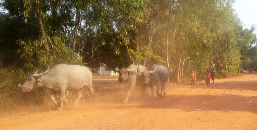 Siem Reap: 3-Hour Ancient Trails Motorbike Tour - Riding the ancient trails and village roads
