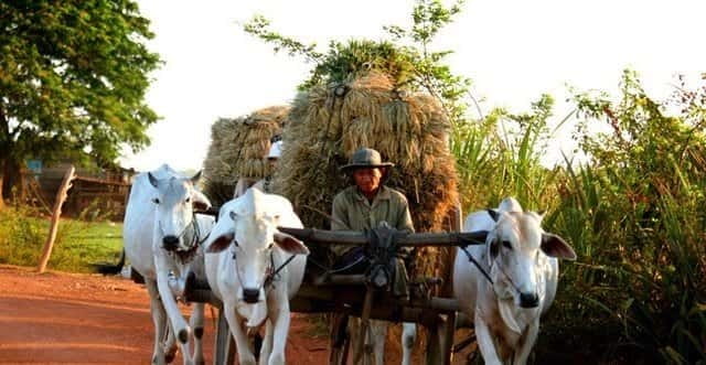 Siem Reap: 3-Hour Ancient Trails Motorbike Tour - The 10-minute transfer from Siem Reap
