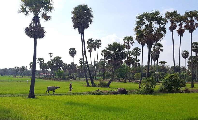 Siem Reap: 6-Hour Easy Rider Motorbike Tour - Why this motorbike tour shows a different Siem Reap