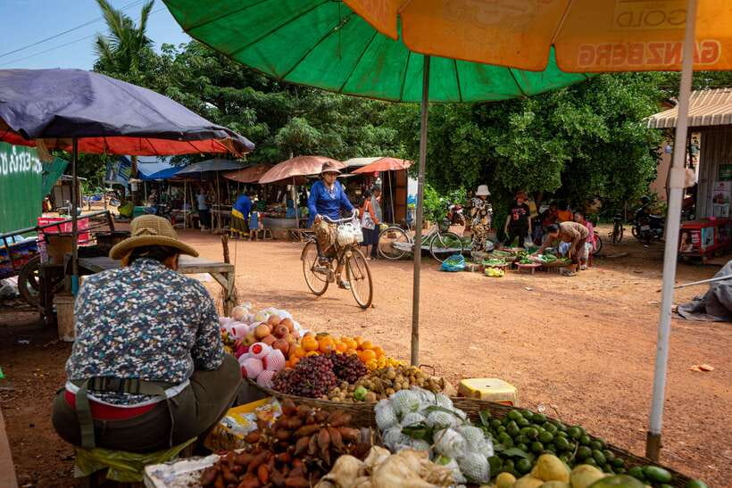 Siem Reap: Afternoon Cooking Class & Village Tour - Choosing vegetables at the farm