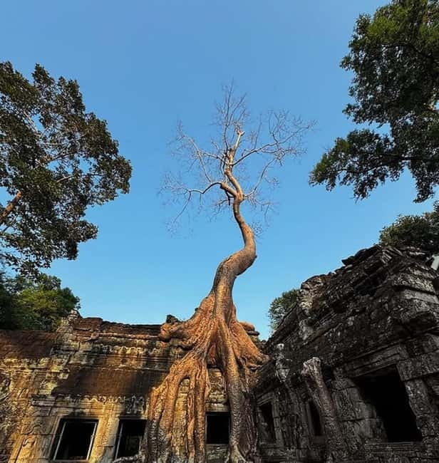 Siem Reap: Angkor 1-Day Private Tour with Sunset or Sunrise - Why a private Angkor tour makes sense