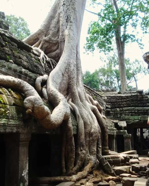 Siem Reap: Angkor 1-Day Private Tour with Sunset or Sunrise - Phnom Bakheng sunset: beautiful, but not automatic