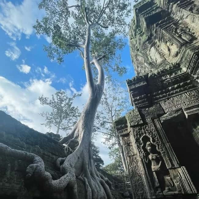 Siem Reap: Angkor 1-Day Private Tour with Sunset or Sunrise - Who should book this Angkor experience?