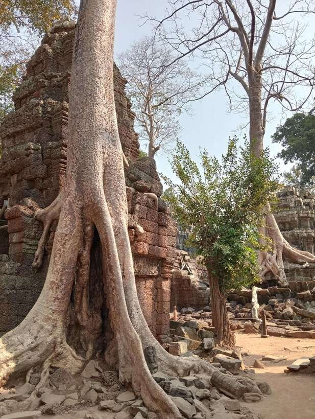 Siem Reap: Angkor Full-Day Group Tour with Japanese Guide - Angkor Thom begins with a royal welcome