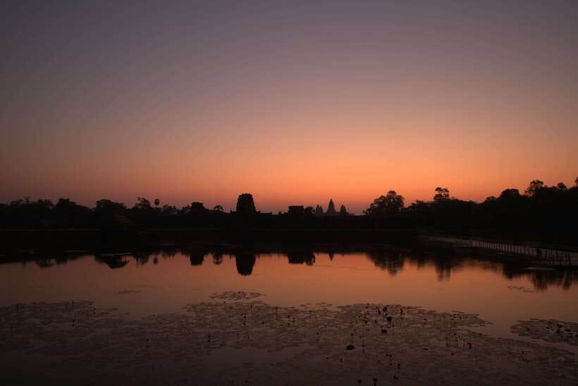 Siem Reap: Angkor Sunrise 1- or 2-Day Guided Temples Tour - Ta Prohm and the jungle setting