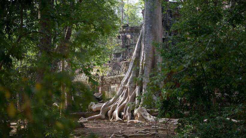 Siem Reap: Angkor Temples Off-Track Bicycle Tour - Why a bicycle changes your Angkor day