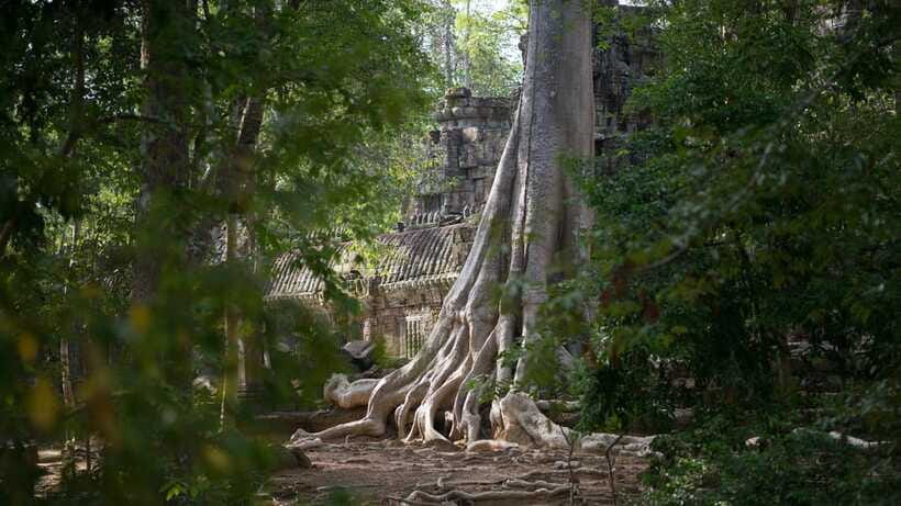 Siem Reap: Angkor Temples Off-Track Bicycle Tour - Lunch at a local restaurant in the jungle
