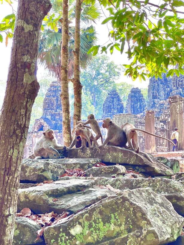 Siem Reap: Angkor Wat Private full Day Tour - What the private guide adds