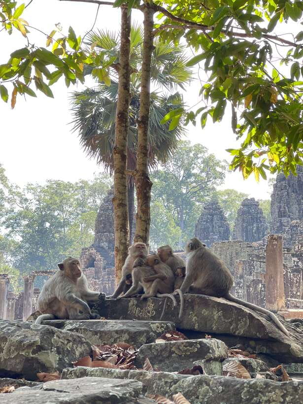 Siem Reap: Angkor Wat Private full Day Tour - Bayon: a maze of stone faces