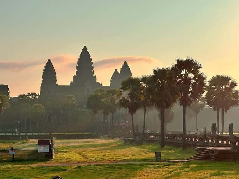 Siem Reap: Angkor Wat Private Tour with Sunrise - Ta Prohm and the appeal of temple ruins